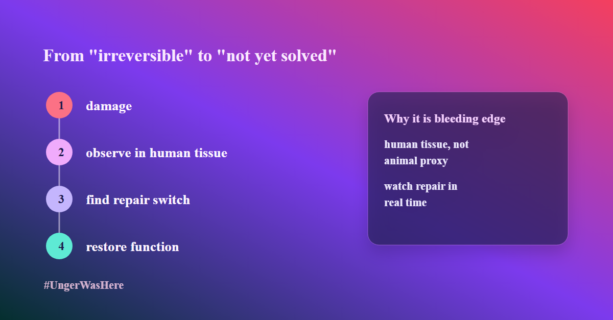 Human Organoids Reveal How to Reverse "Irreversible" Nerve Damage (slide 2 of 2)