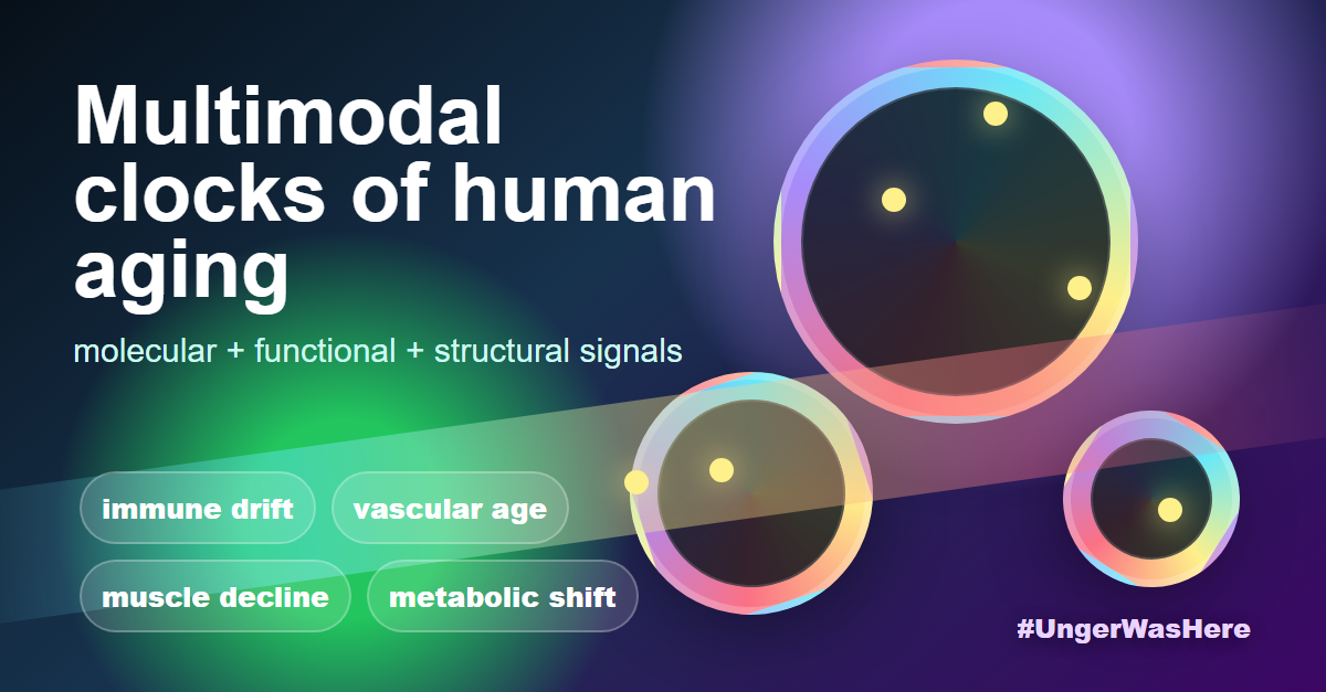 Multimodal clocks of human aging