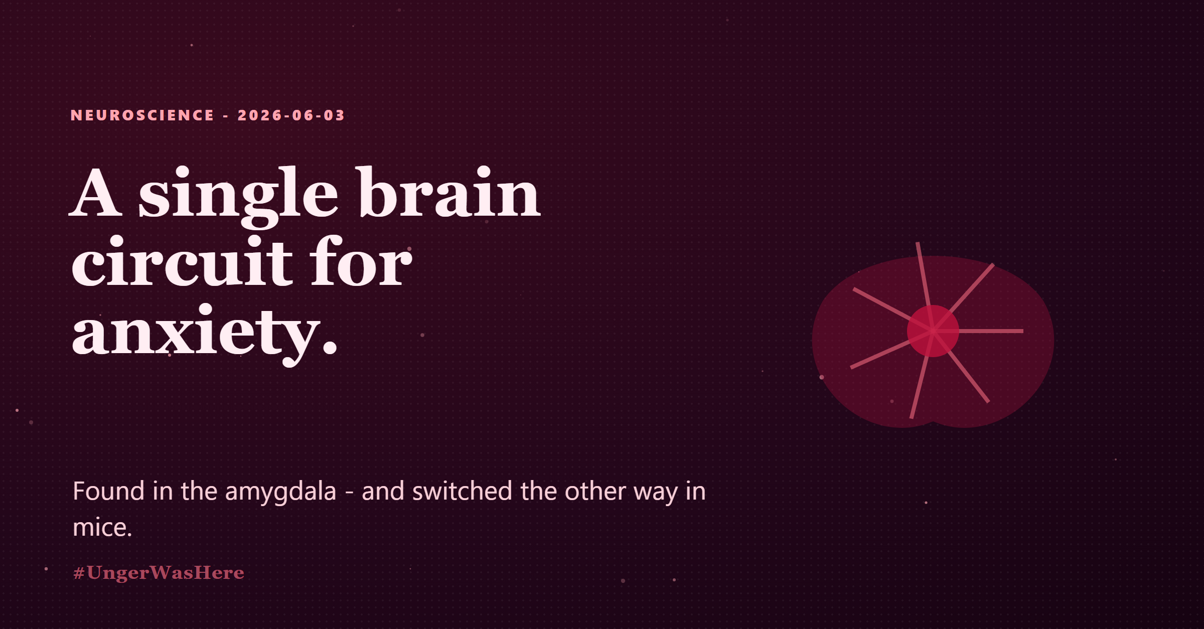 Scientists identify and reverse an amygdala circuit that drives anxiety (slide 1 of 2)