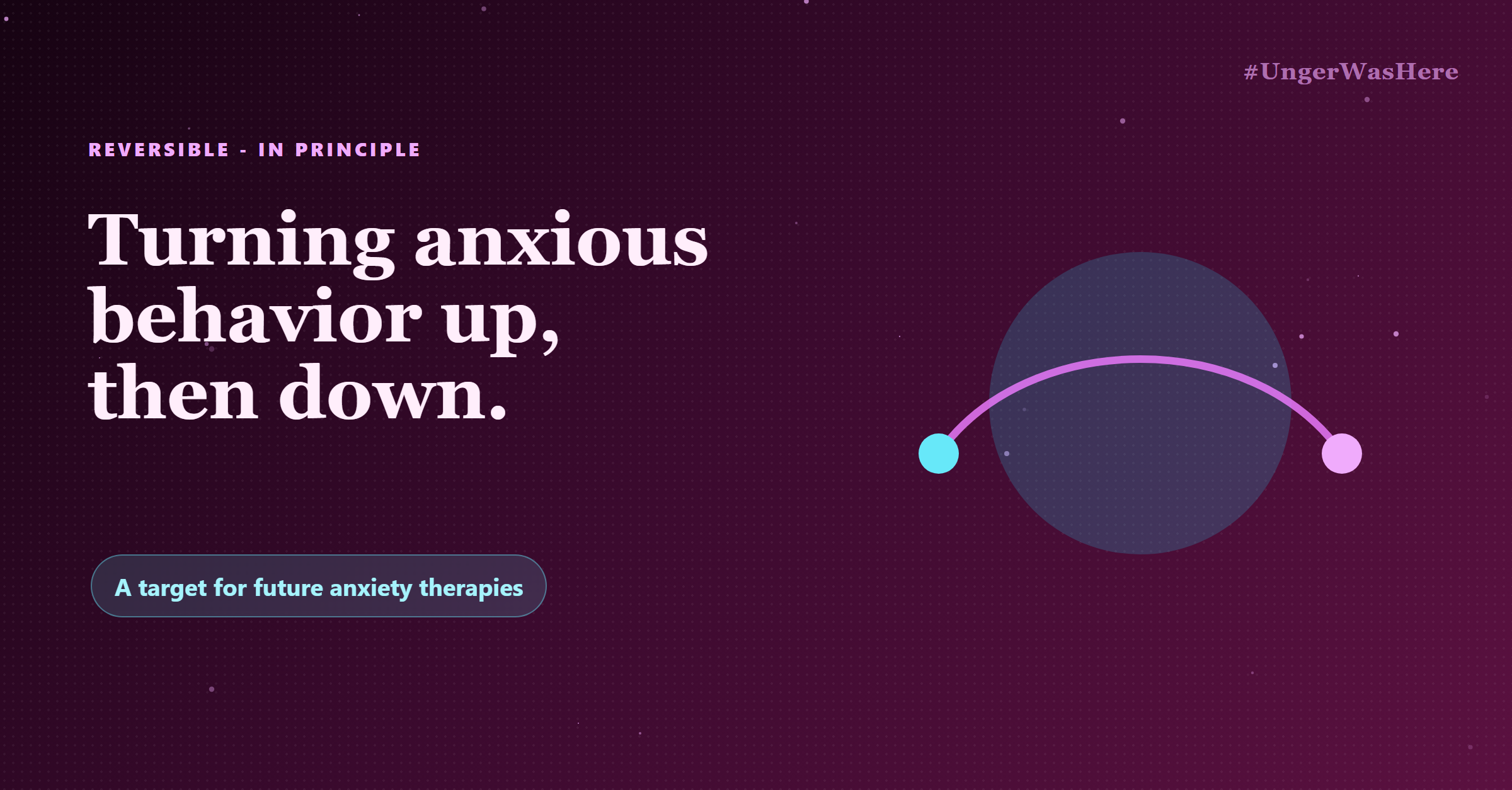 Scientists identify and reverse an amygdala circuit that drives anxiety (slide 2 of 2)
